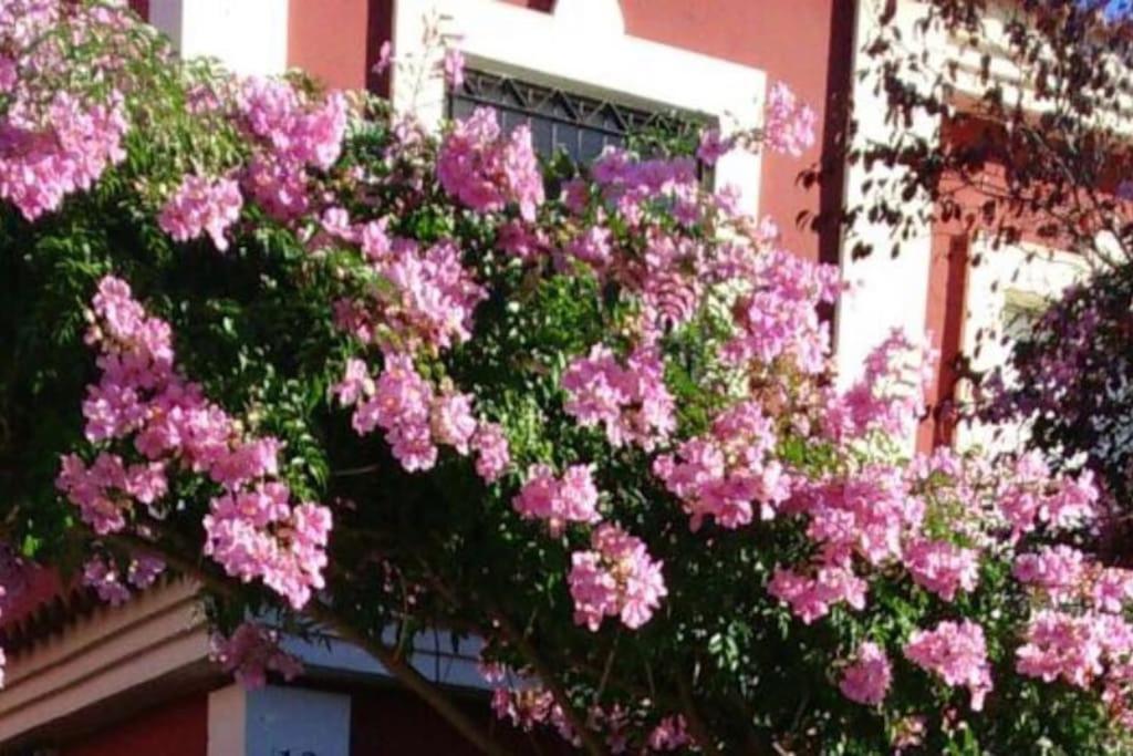 Casa Bignonia Villa Salteras Exterior photo